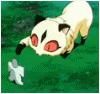 kirara - D :D :D :D :D :D :D :D :D :D :D :D :D :D :D :D - Inuyasha
